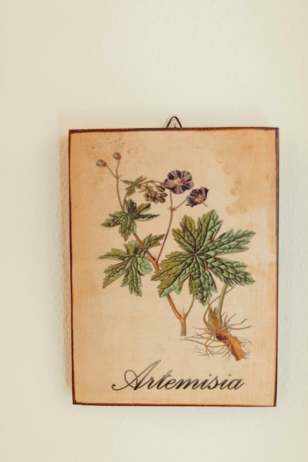 B&B Artemisia Alghero Eksteriør bilde